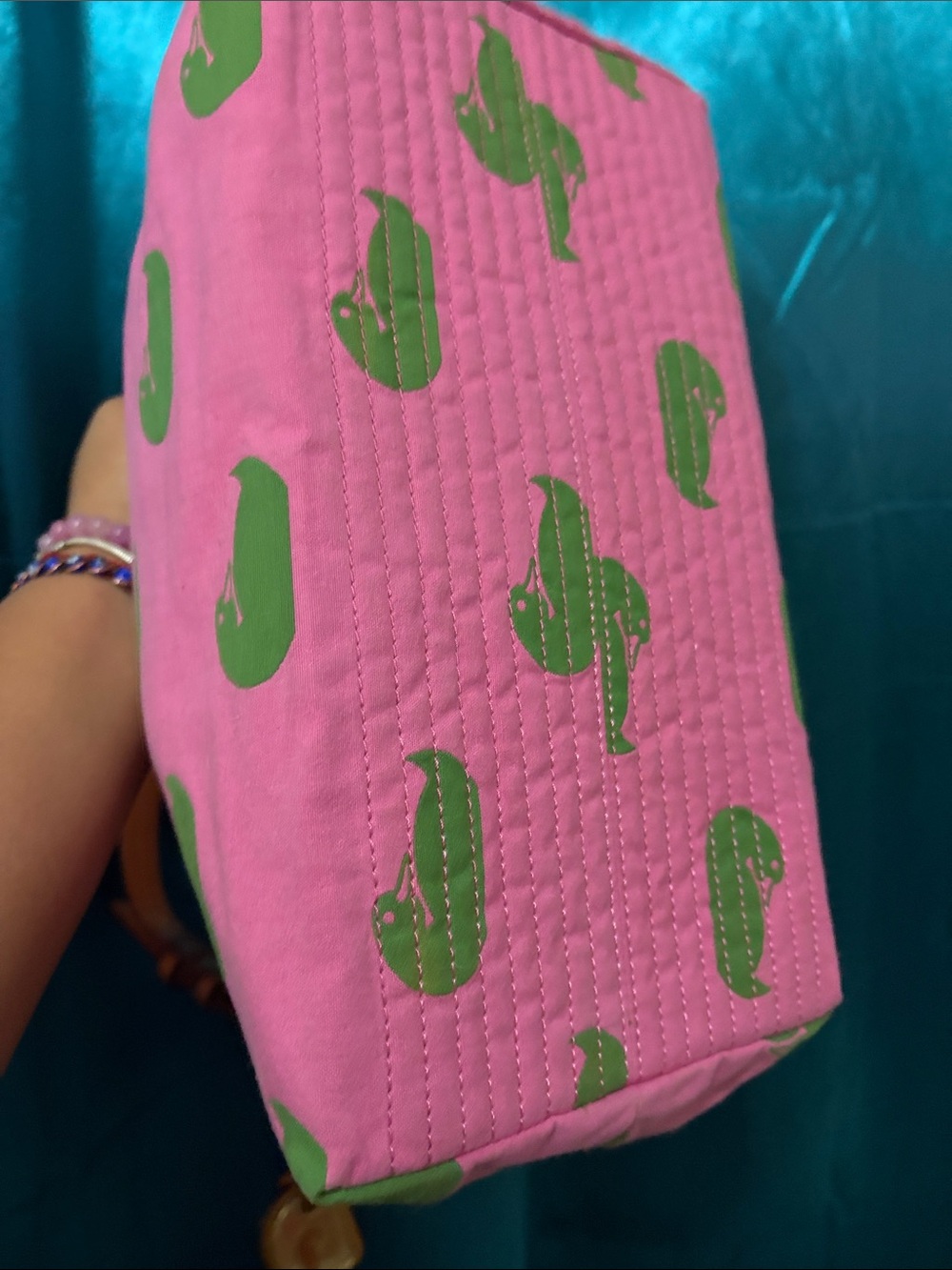 Dooney & Bourke Pink Shoulder Bag with Green Duck Print - Picture 4 of 9